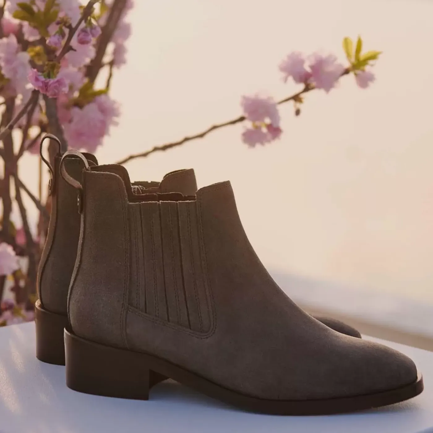Hot Carmie Women Boots