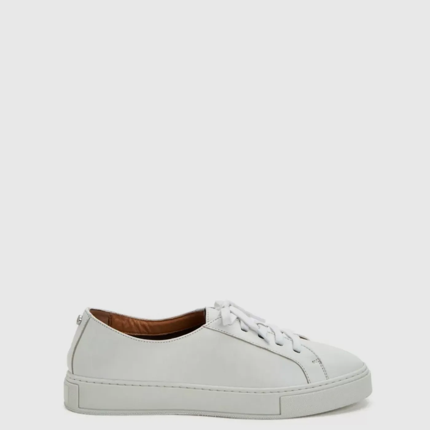 Hot Ollie Women Sneakers