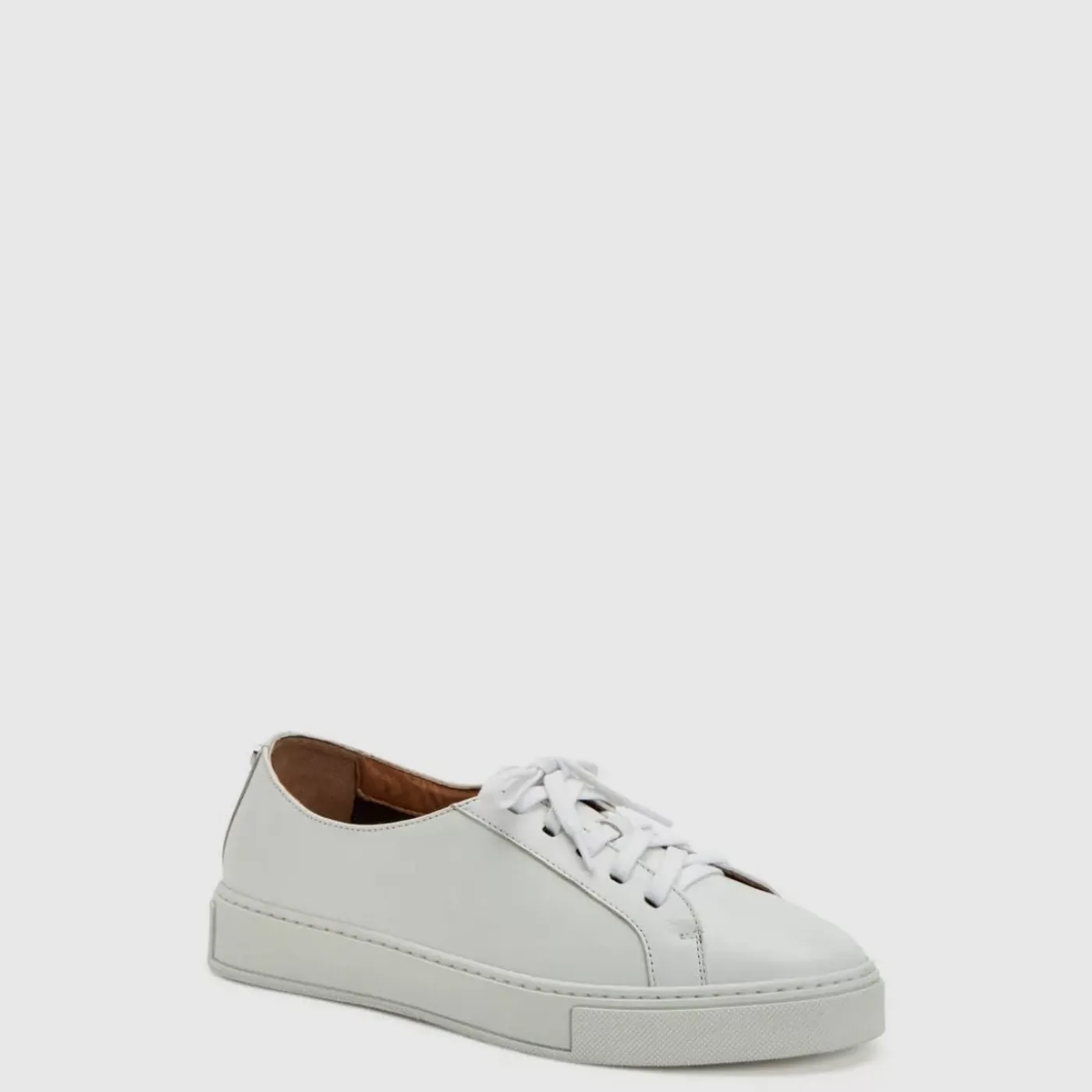 Hot Ollie Women Sneakers